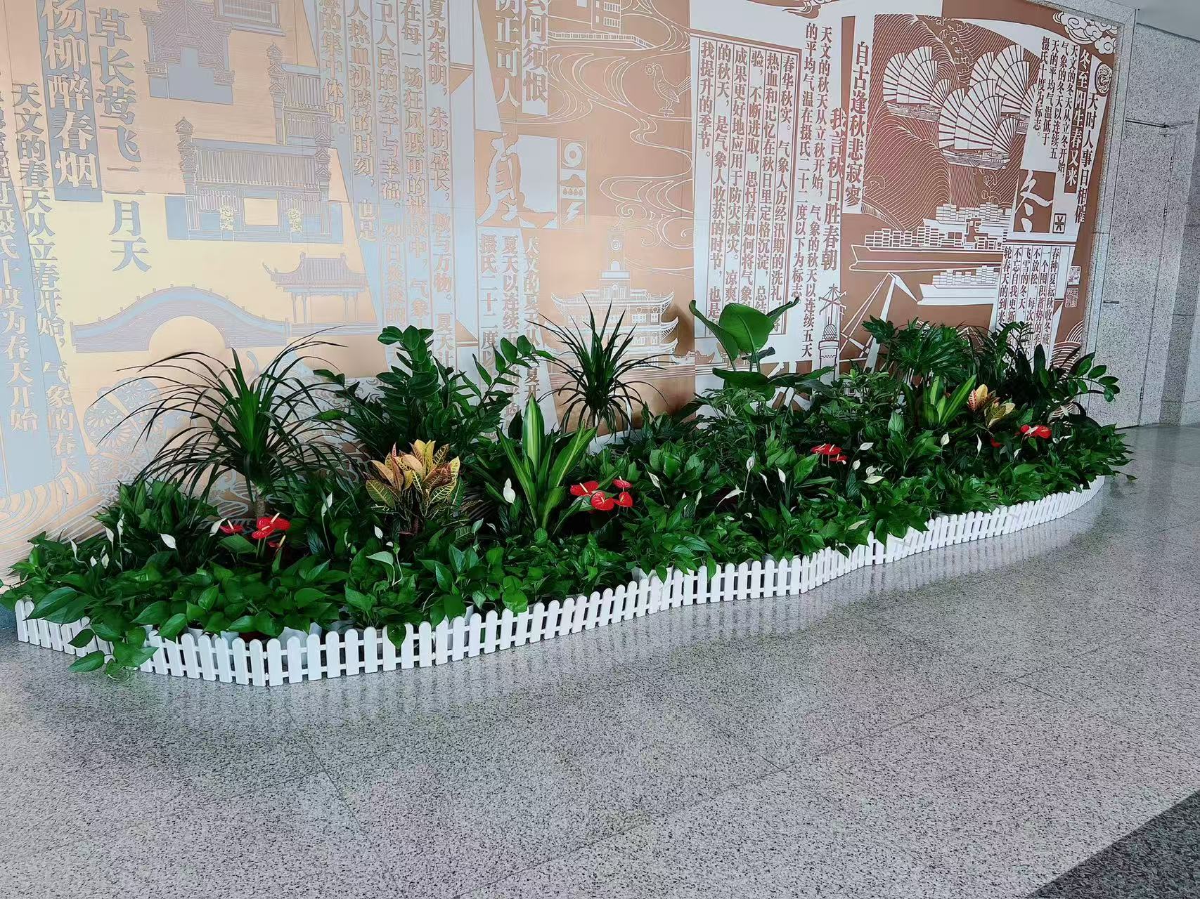 宁波前湾植物租赁价格实惠